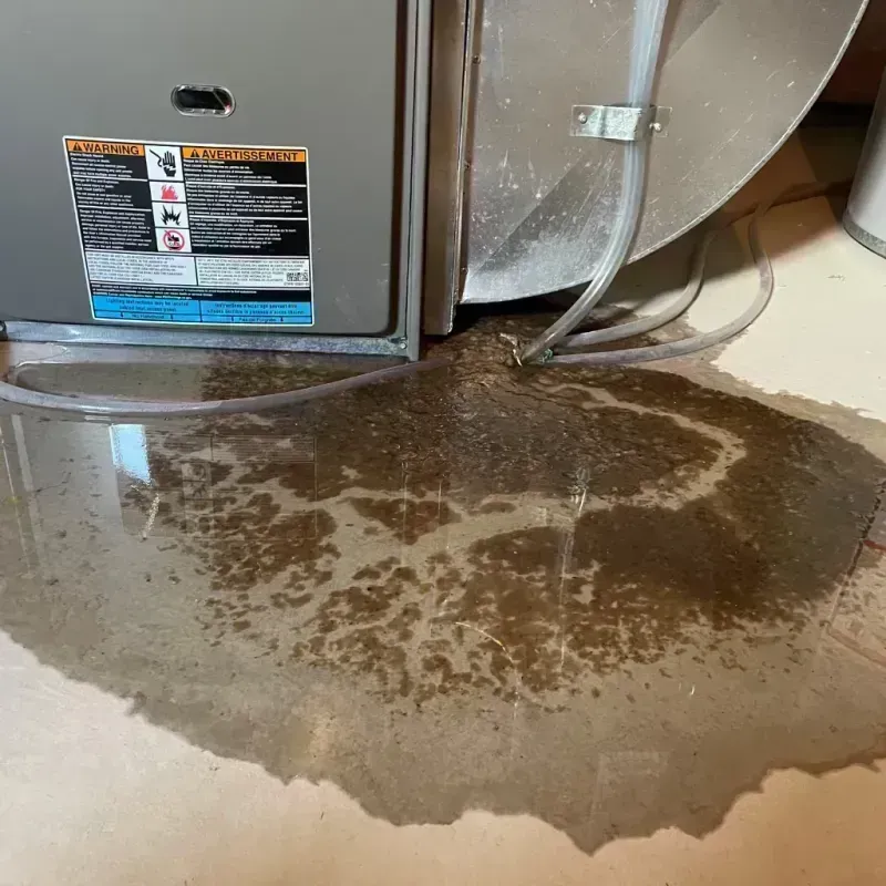 Appliance Leak Cleanup in Osceola County, IA